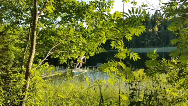 Screenshot_20170727-153716